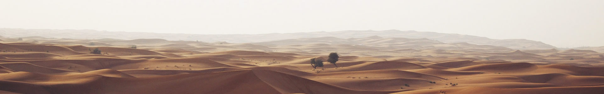 ˹ع޹˾